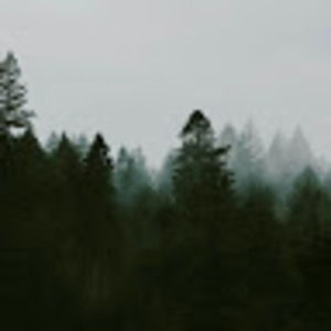 Meet your Posher, Locall